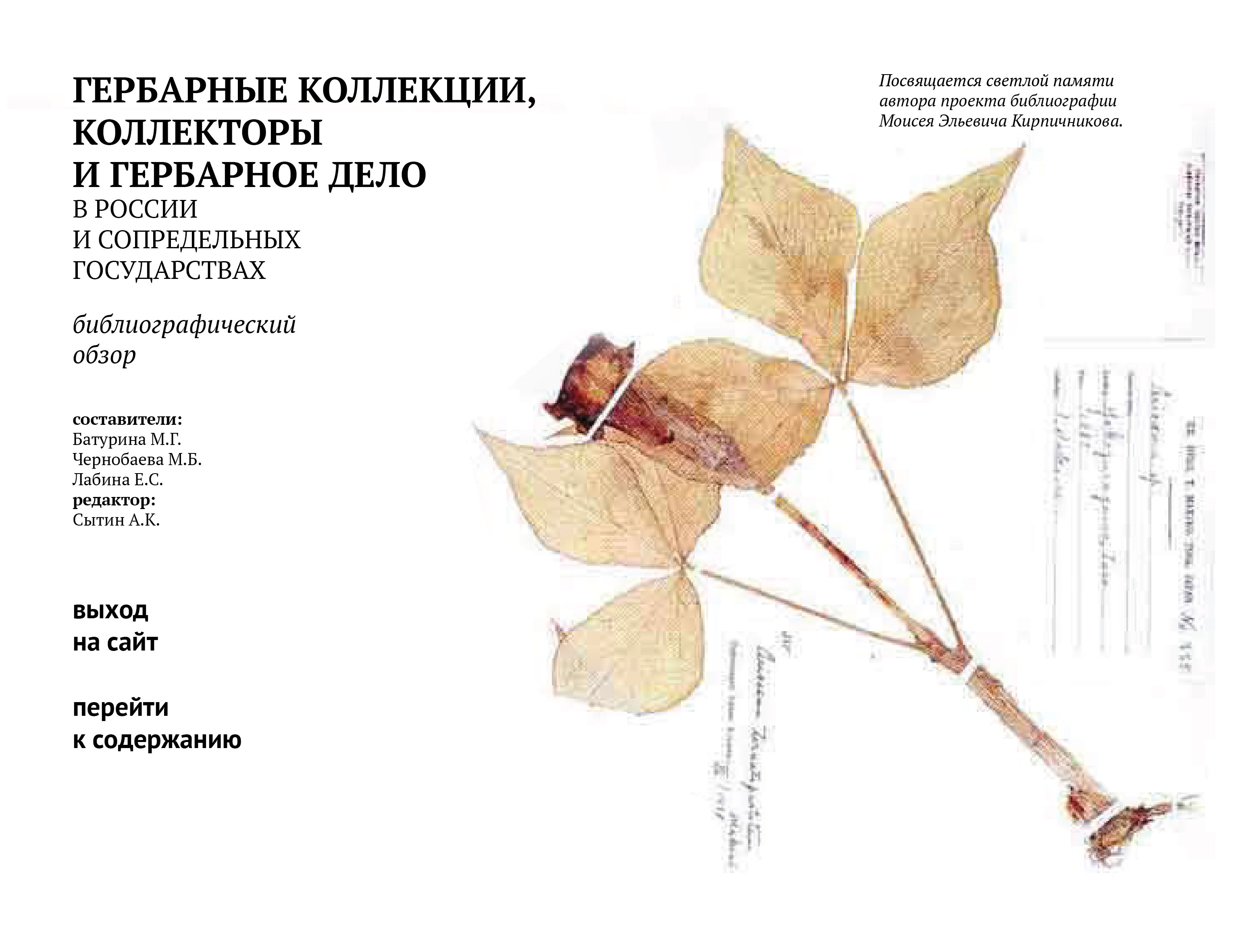 перейти к содержанию
